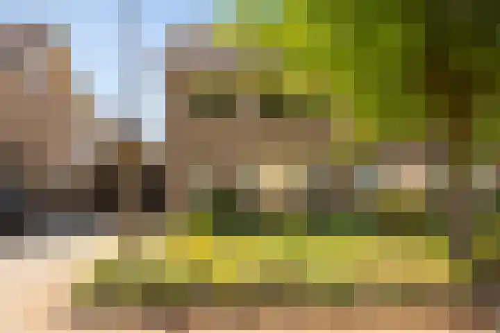 Kalanderstraat 8 Borne thumbnail 9