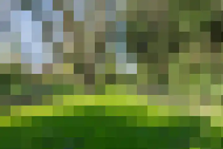 Kaldebornweg 118 Heerlen thumbnail 20