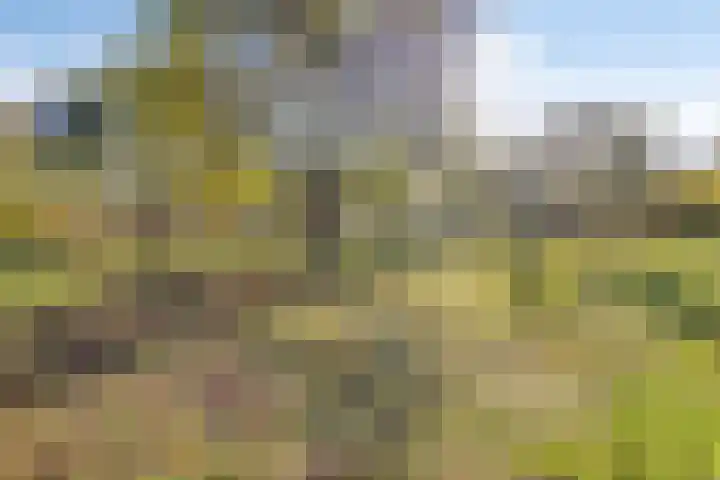 Kaldebornweg 149 Heerlen thumbnail 40