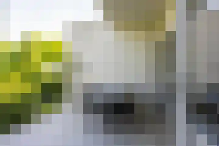 Kaldebornweg 19 Heerlen thumbnail 12