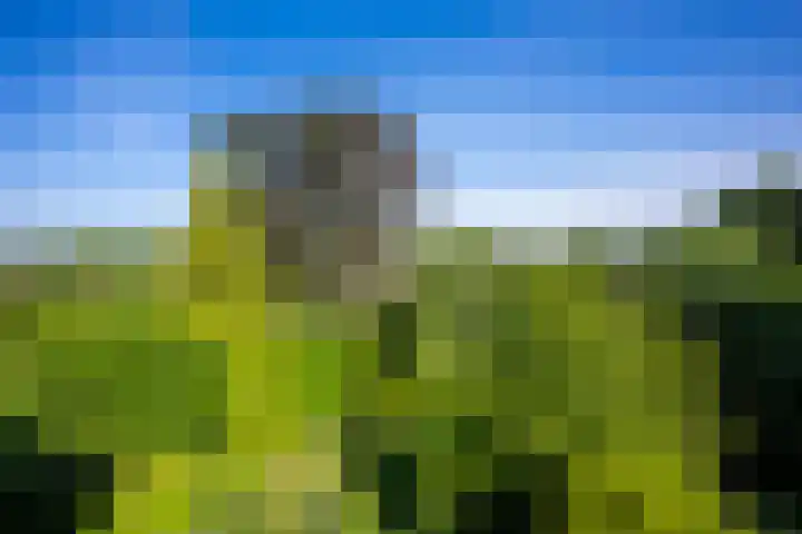 Kaldebornweg 19 Heerlen thumbnail 14