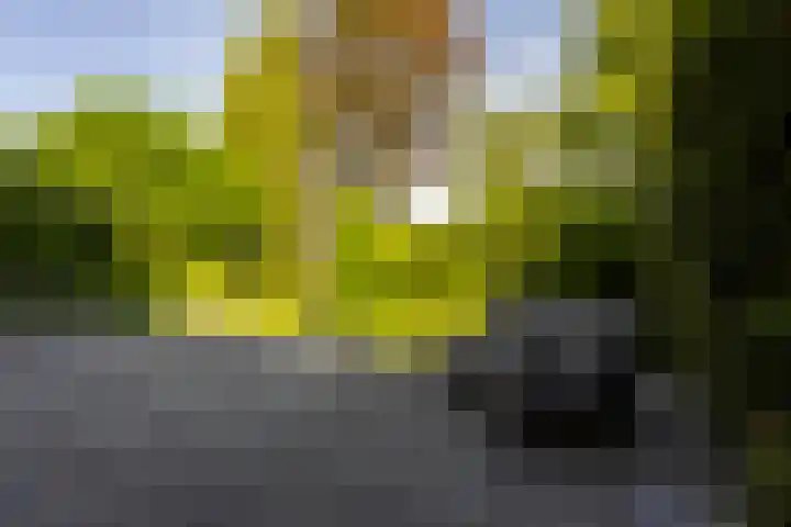 Kaldebornweg 19 Heerlen thumbnail 26