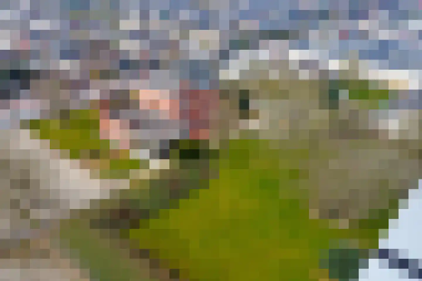 Kaldenkerkerweg 73 Tegelen thumbnail 52