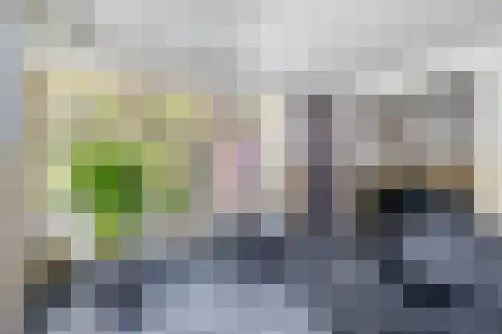 Kaldersedijk 8 Helmond thumbnail 19