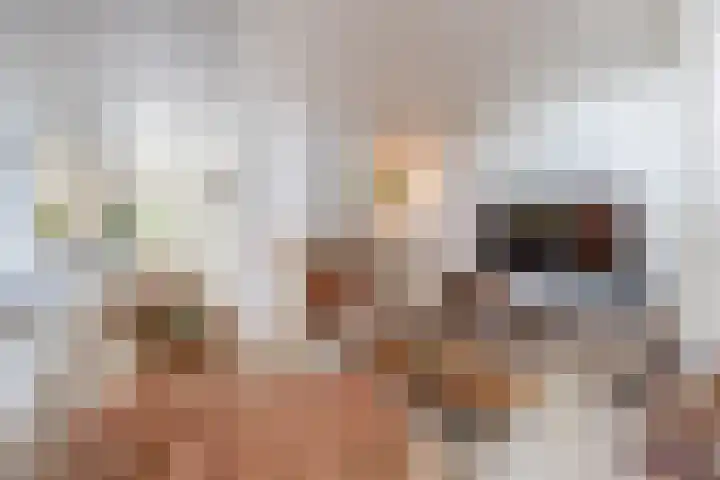 Kaldersedijk 8 Helmond thumbnail 31