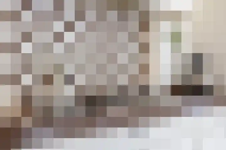 Kaldersedijk 8 Helmond thumbnail 36