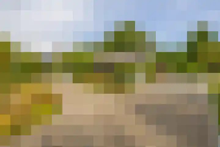 Kaldersedijk 8 Helmond thumbnail 4