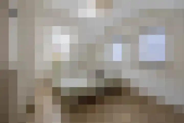 Kaldersedijk 8 Helmond thumbnail 48