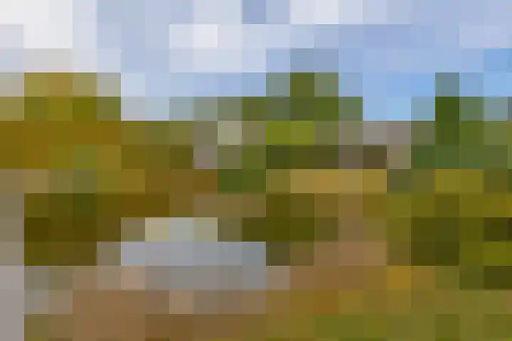 Kaldersedijk 8 Helmond thumbnail 51