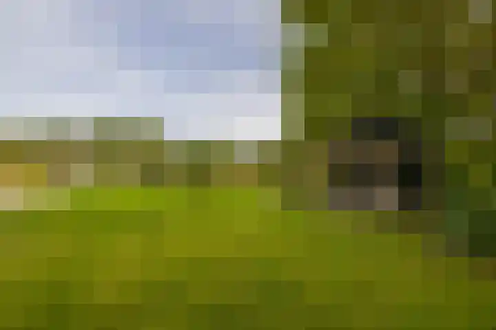 Kaldersedijk 8 Helmond thumbnail 54