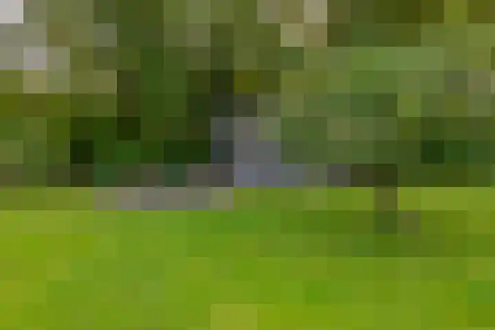 Kaldersedijk 8 Helmond thumbnail 55