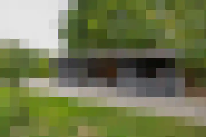 Kaldersedijk 8 Helmond thumbnail 56