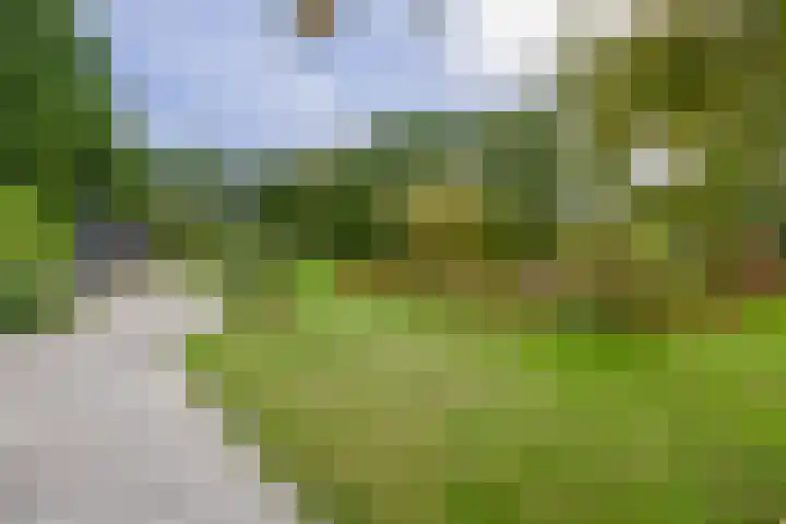 Kaldersedijk 8 Helmond thumbnail 62