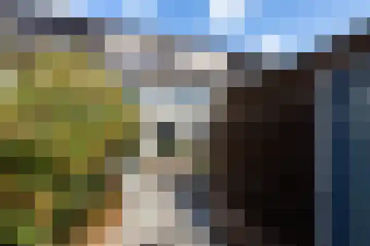 Kaldersedijk 8 Helmond thumbnail 63
