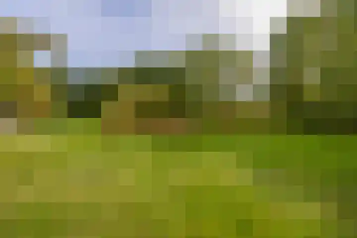Kaldersedijk 8 Helmond thumbnail 64
