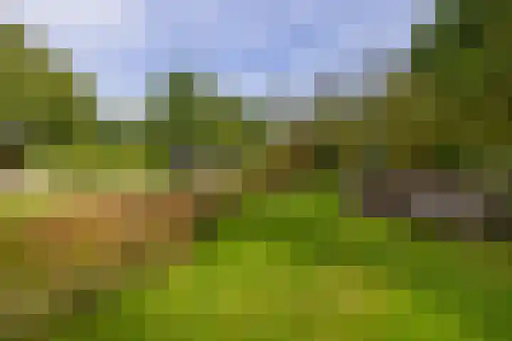 Kaldersedijk 8 Helmond thumbnail 65