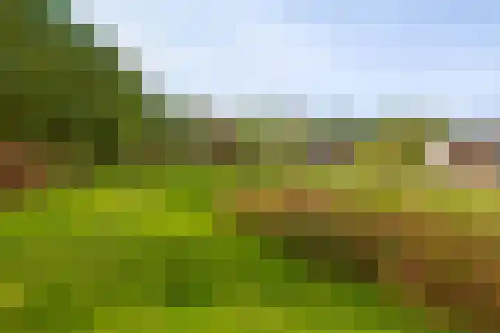 Kaldersedijk 8 Helmond thumbnail 66