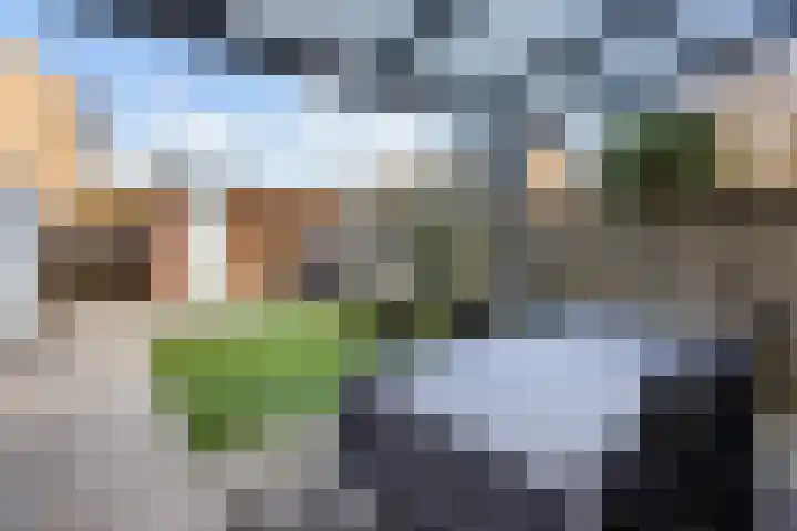 Kalesland 34 Heinenoord thumbnail 30