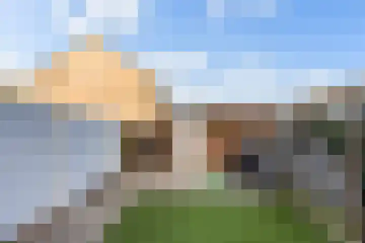 Kalesland 34 Heinenoord thumbnail 31