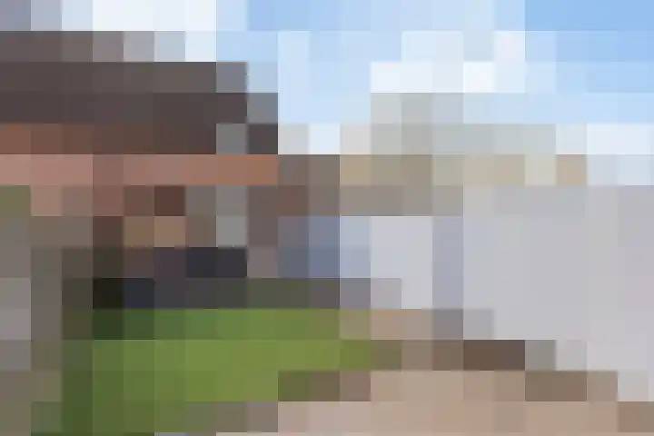 Kalesland 34 Heinenoord thumbnail 33