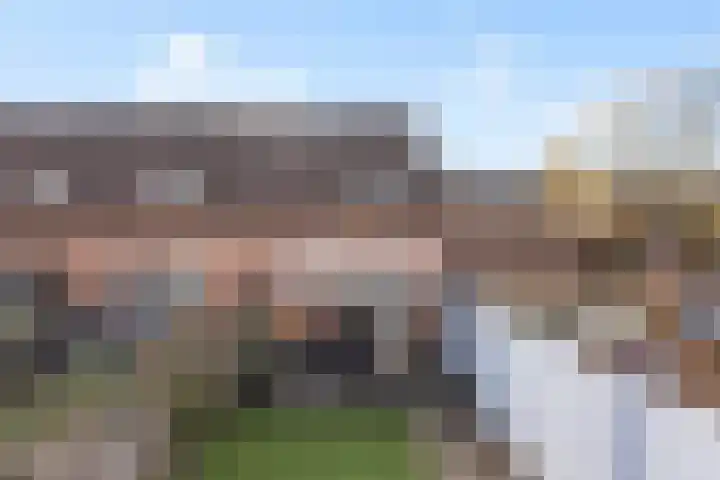 Kalesland 34 Heinenoord thumbnail 34