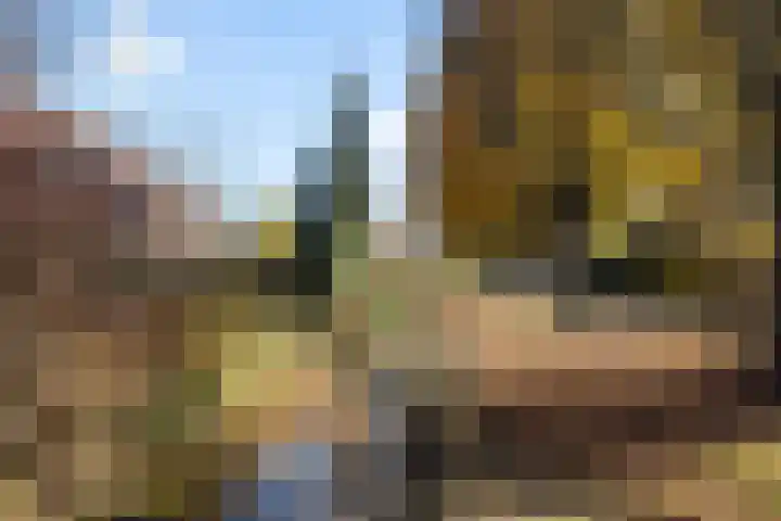 Kalesland 34 Heinenoord thumbnail 39