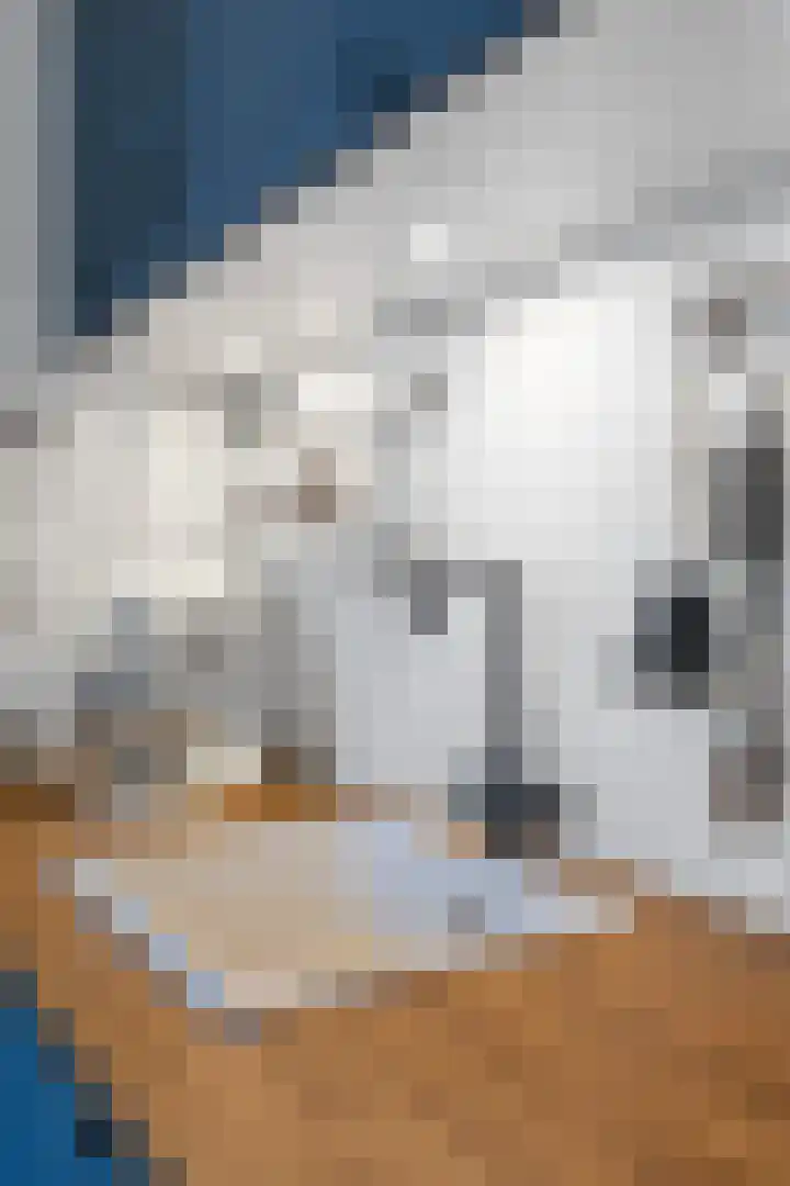 Kaleweg 27 Opende thumbnail 17