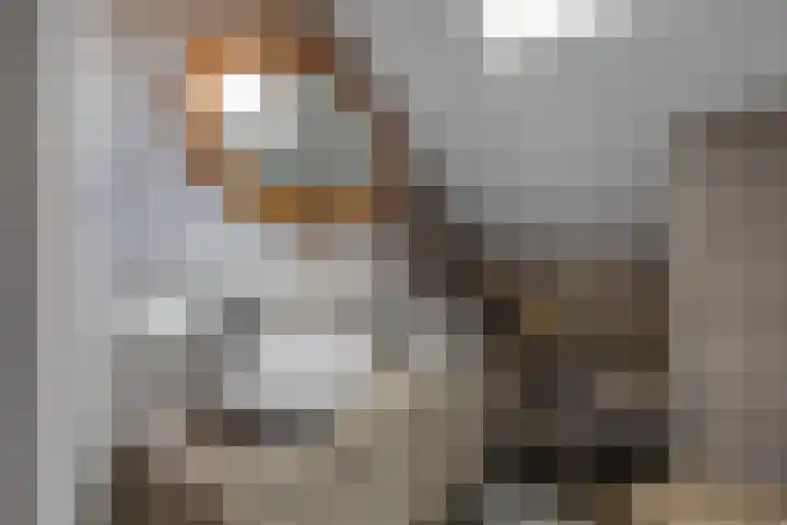 Kaleweg 27 Opende thumbnail 35