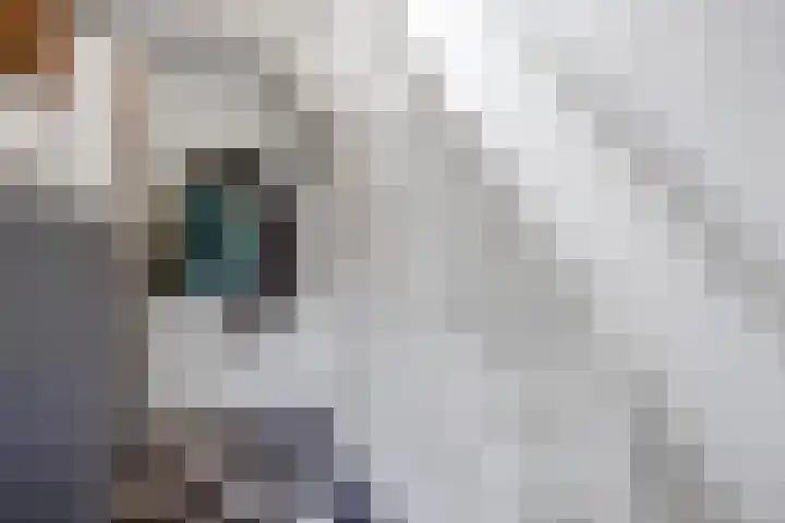 Kaleweg 27 Opende thumbnail 40