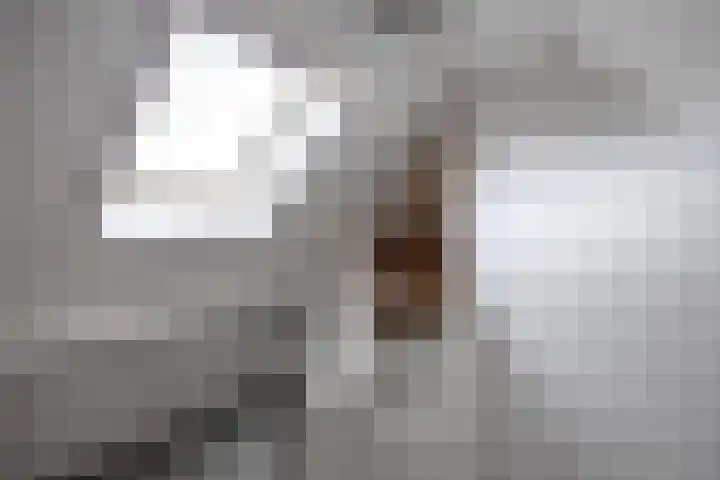 Kaleweg 27 Opende thumbnail 43