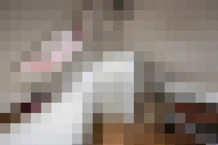 Kaleweg 27 Opende thumbnail 45