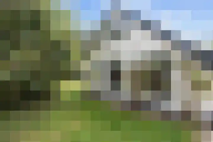 Kaleweg 27 Opende thumbnail 48