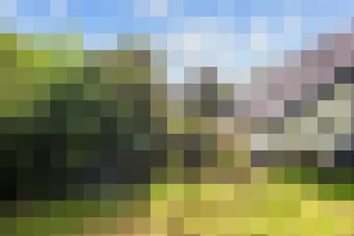 Kaleweg 27 Opende thumbnail 49