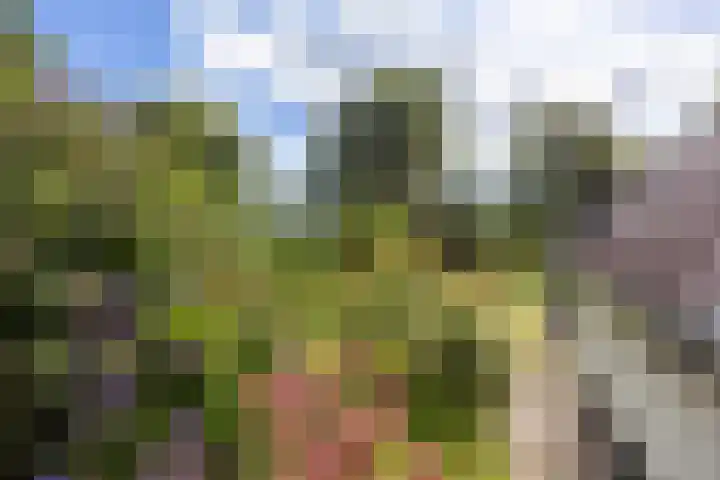 Kaleweg 27 Opende thumbnail 51