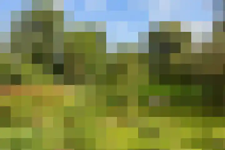 Kaleweg 27 Opende thumbnail 52