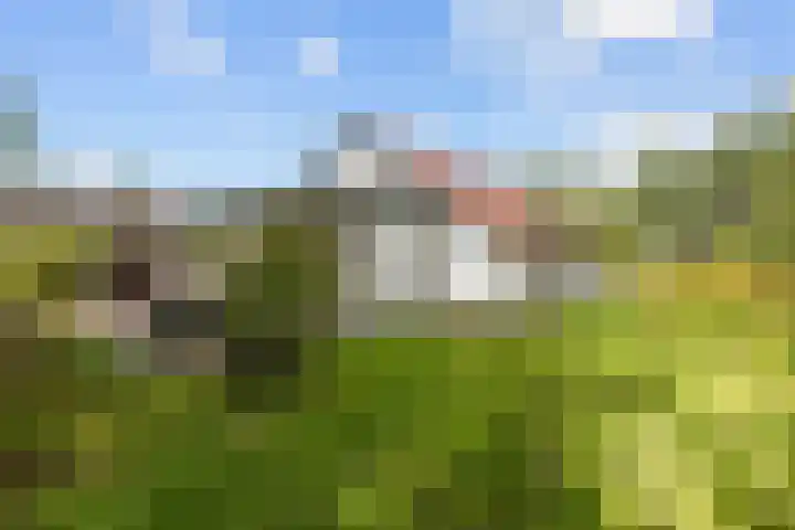 Kaleweg 27 Opende thumbnail 53