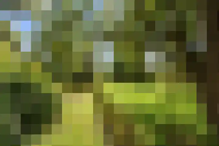 Kaleweg 27 Opende thumbnail 54