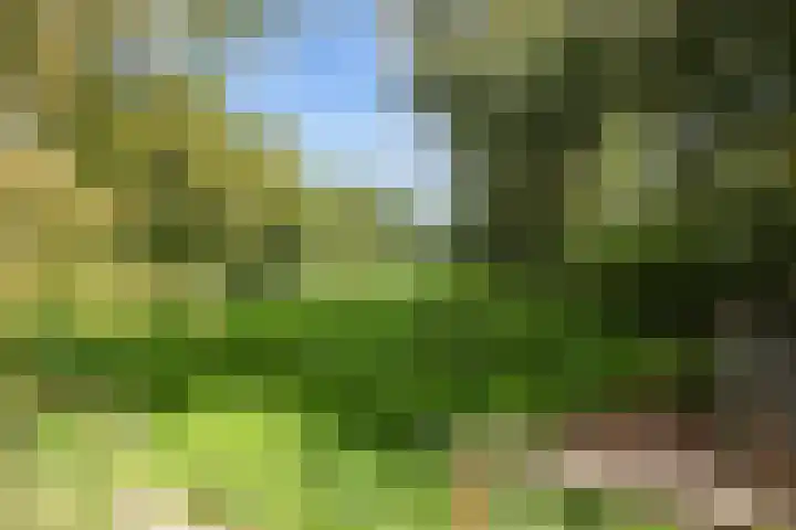Kaleweg 27 Opende thumbnail 55