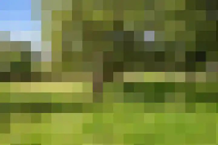Kaleweg 27 Opende thumbnail 56