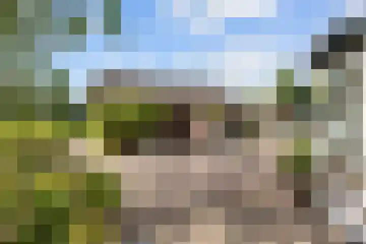 Kaleweg 27 Opende thumbnail 57