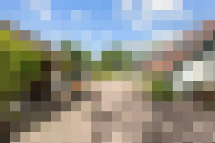 Kaleweg 27 Opende thumbnail 59