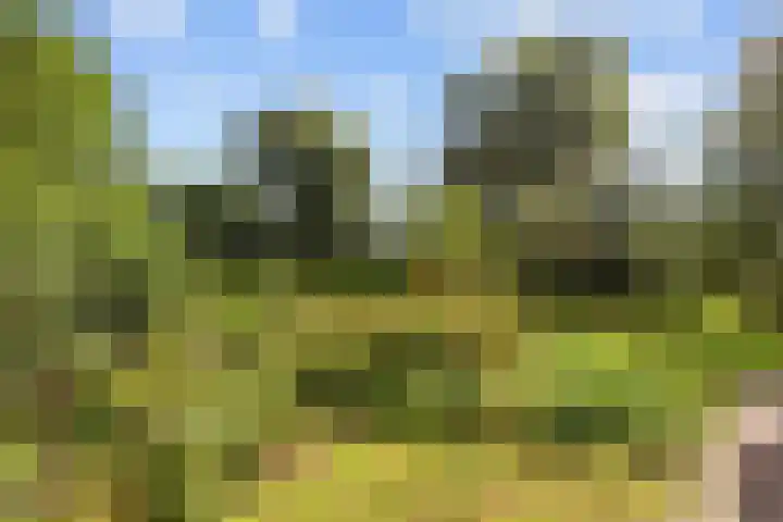 Kaleweg 27 Opende thumbnail 6