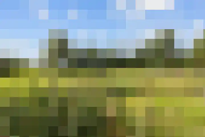 Kaleweg 27 Opende thumbnail 62