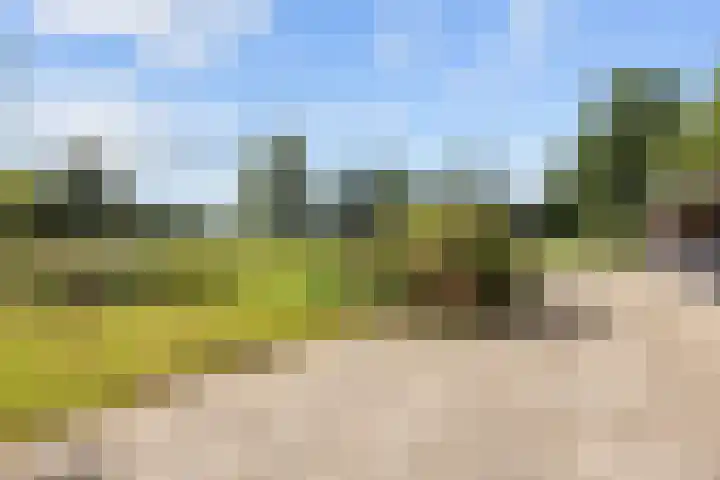 Kaleweg 27 Opende thumbnail 65