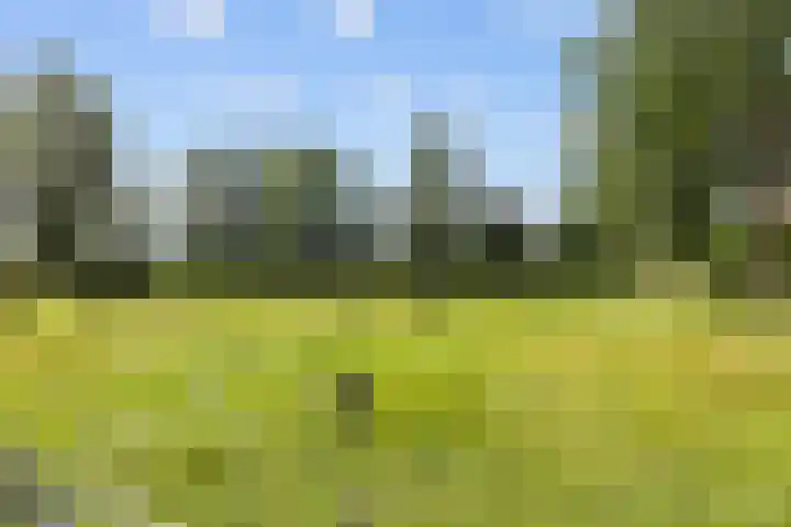 Kaleweg 27 Opende thumbnail 67