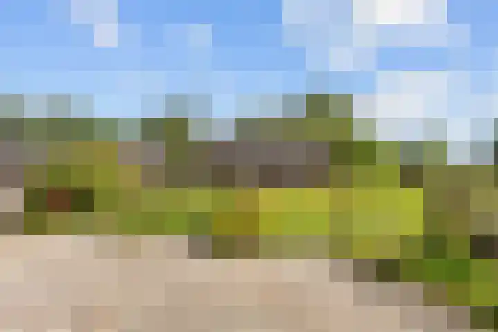 Kaleweg 27 Opende thumbnail 69