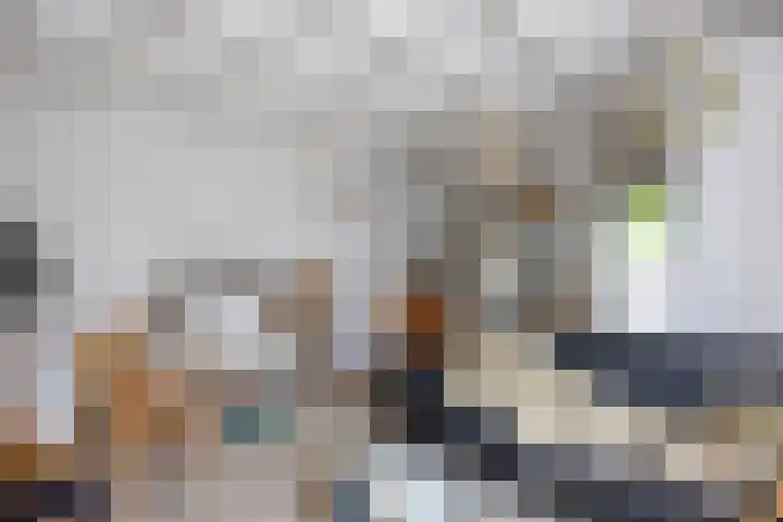 Kaleweg 27 Opende thumbnail 75