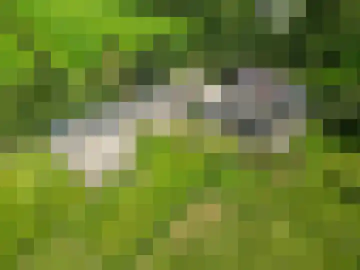 Kaleweg 27 Opende thumbnail 79