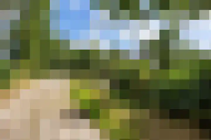 Kaleweg 27 Opende thumbnail 8