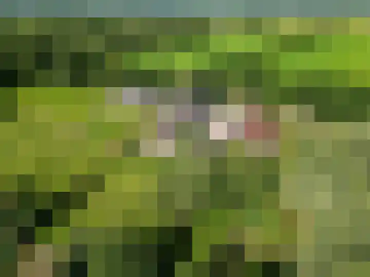 Kaleweg 27 Opende thumbnail 80